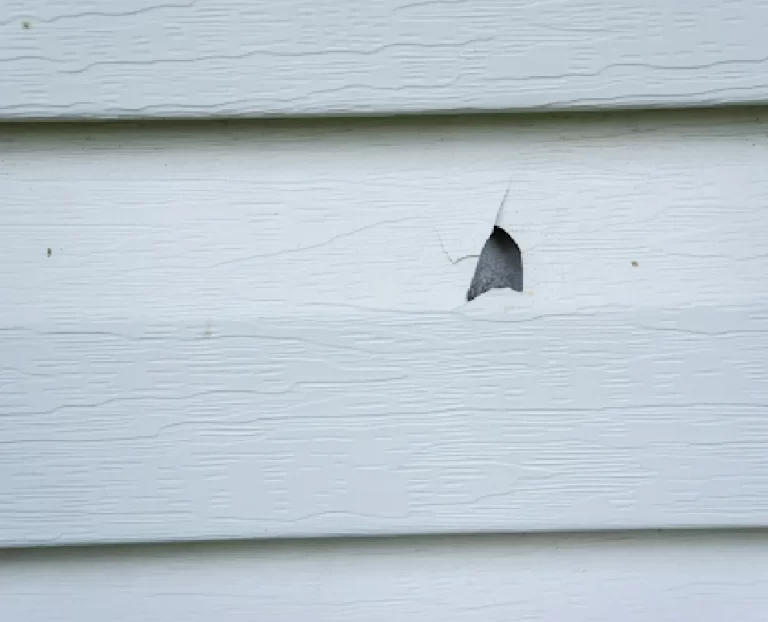 What is the difference between power washing and soft washing?