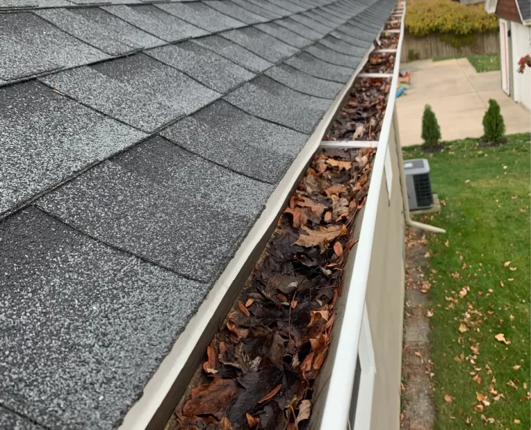 Why You Should Get Your Gutters Cleaned by Go To Cleaning Services