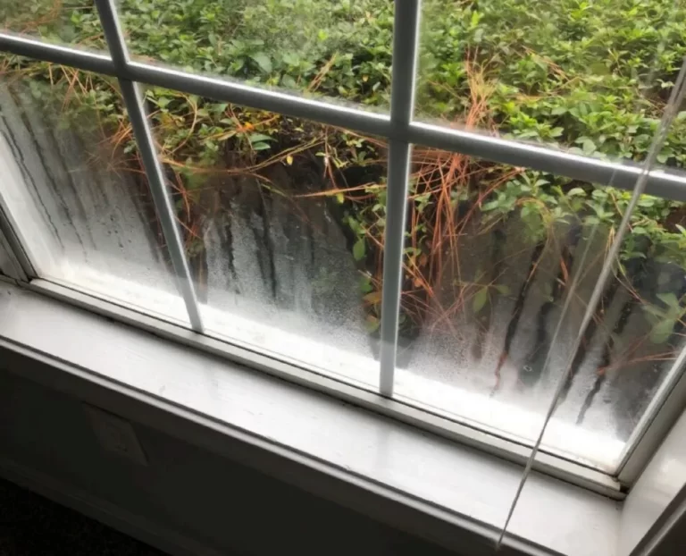Why Are My Windows Foggy?