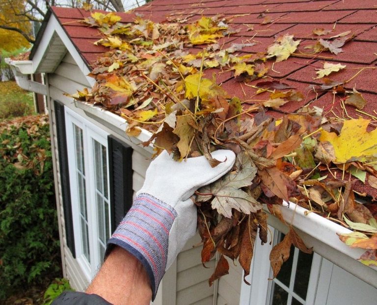 The Importance of Regular Gutter Cleaning for Your Home