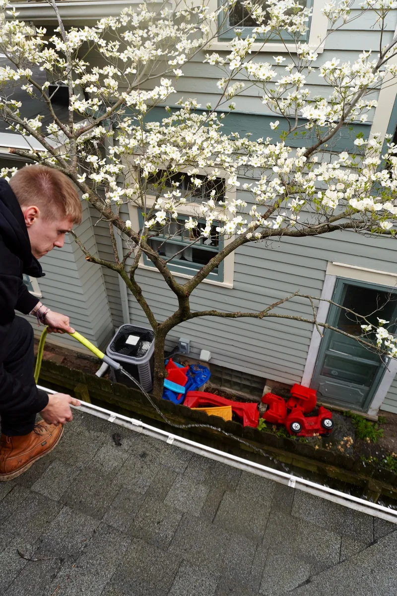 Go To Cleaning technician cleaning gutters from the roof under a blooming dogwood