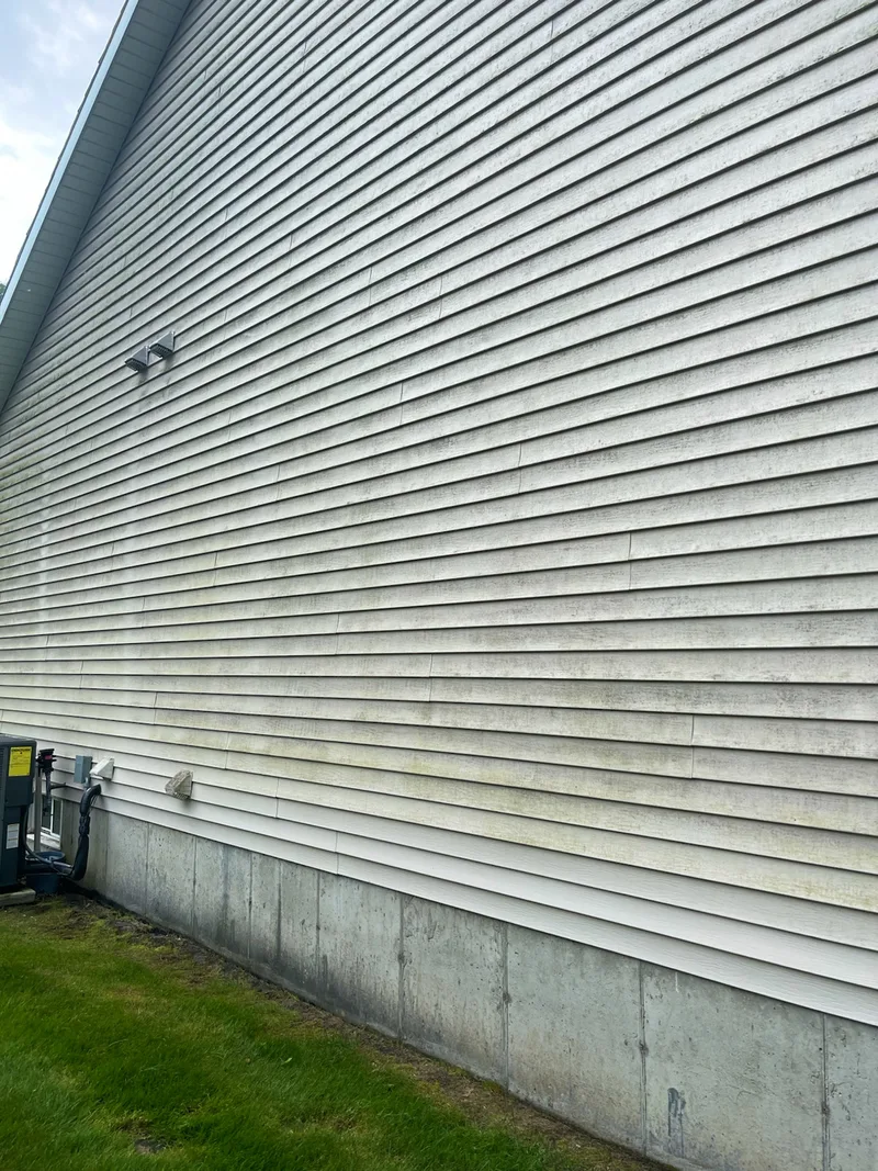 Before: tall vinyl siding wall with green algae near Fruitport